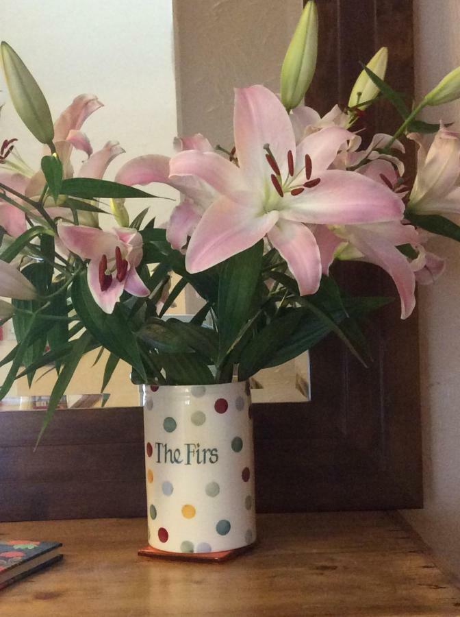 The Firs At Hay-On-Wye B&B Exteriér fotografie